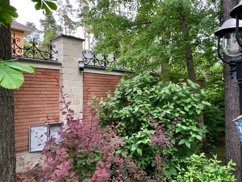 Uzbekistran-Russland-50