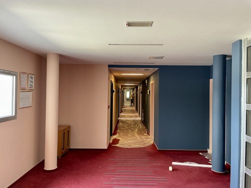 IMG 2641